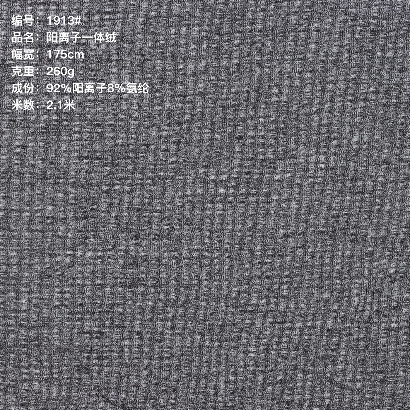 T1913